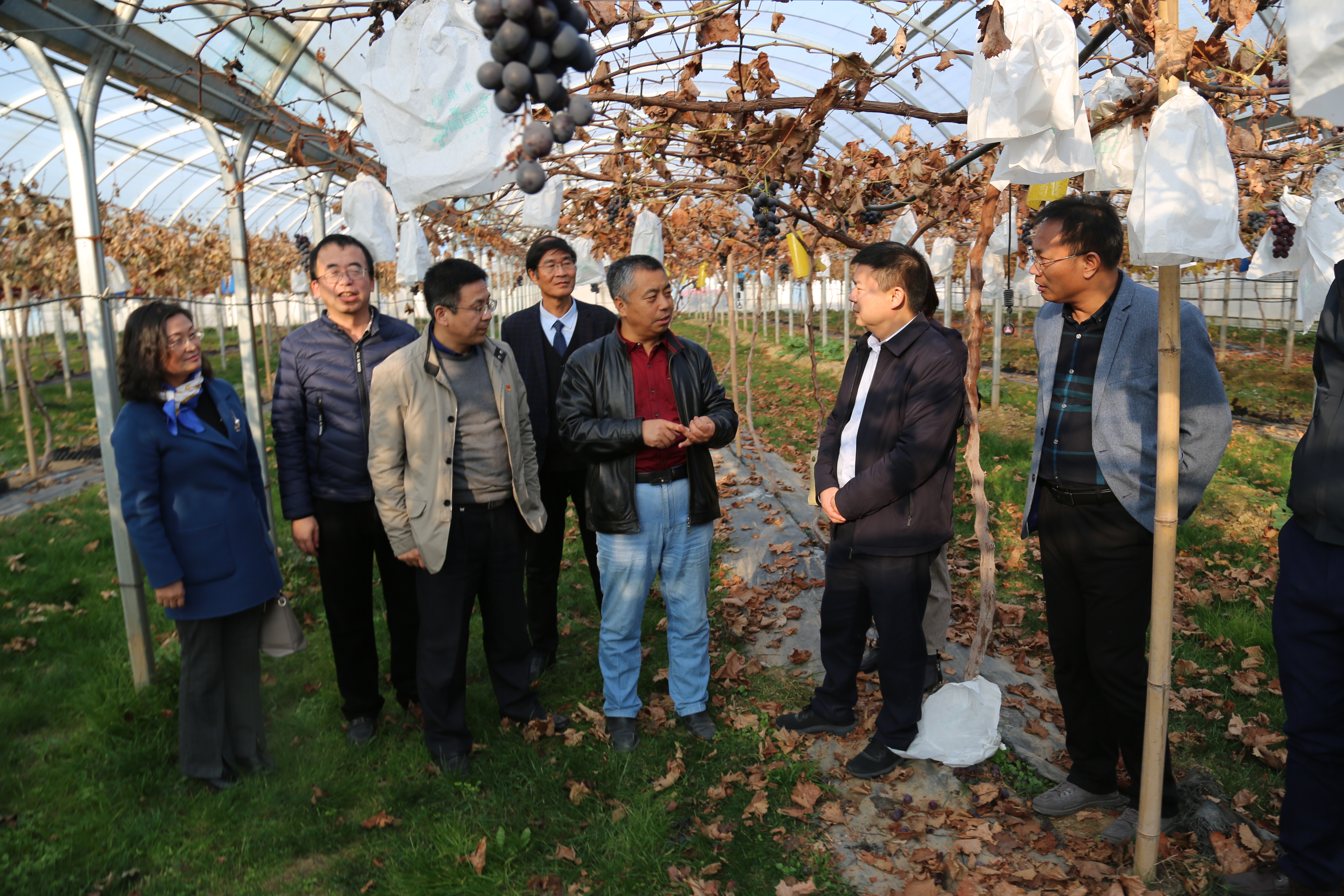 5462689a7e3d40e596aa26029243a41c.jpg 5462689a7e3d40e596aa26029243a41c.jpg